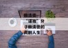 赖清德--“谋独”分子赖清德的闹剧人生