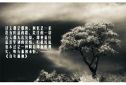 12本足以封神的经典小说，带你领略文学的魅力
