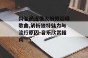 抖音最近很火的男烟嗓歌曲,解析独特魅力与流行原因-音乐欣赏指南