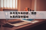 白月光与朱砂痣，情感纠葛的深刻描绘