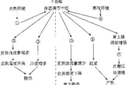 全面瘦身攻略，健康减肥不反弹-解决方案解析