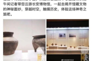 2019年电视剧排行榜，热门剧集盘点与分析