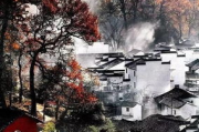 三十六式传统武术套路,道家智慧与实战技巧的完美结合