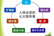 科学搭配一日三餐,减肥瘦身不再难-饮食方案解析