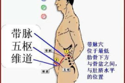 节食减肥瘦身部位顺序解析-健康瘦身策略与实践
