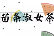 纤体瘦身加盟价格解析，投资成本与盈利分析