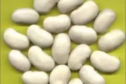 白芸豆瘦身果冻，健康减肥新选择-原理与实践解析
