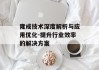 隆成技术深度解析与应用优化-提升行业效率的解决方案