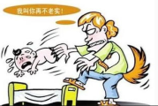 韩国保姆,专业家政服务-选择与质量保证解析