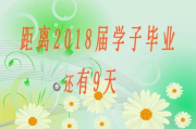 花儿与少年：青春活力的象征与生活启示
