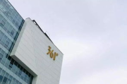 李宁体育用品有限公司,市场策略与品牌魅力-行业领先企业分析