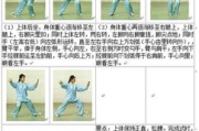 太极拳24式完整图解与动作要领-入门级学习指南