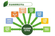 EHR员工自助系统,提升工作效率-实施与优化策略解析