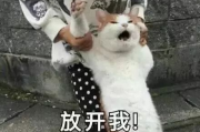 超级表情的特点与种类解析-提升在线沟通体验