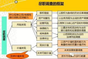 海南动昆网络技术有限公司,创新科技驱动-业务与实力分析