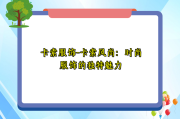 卡索服饰-卡索风尚：时尚服饰的独特魅力