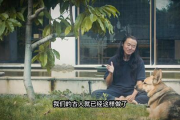 丈夫上班妻子与中字：传统家庭模式在现代社会的挑战与转型