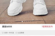 搜鞋网,专业鞋类购物平台-购物体验与选择多样性解析