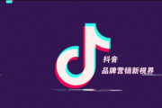 抖音热门视频推荐机制解析与内容创作策略