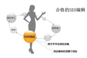 视频平台SEO优化, 提升用户观看体验策略解析