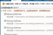 熊猫杀毒软件,全方位网络安全解决方案-功能与优势解析