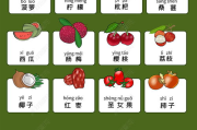 水果瘦身法，自然减肥新选择-轻松实现健康瘦身