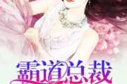霸道总裁小说霸爱为奴，情感纠葛与角色塑造解析
