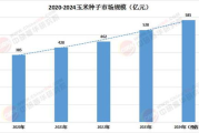 打造高效付费视频网站，实现内容变现-全面指南解析
