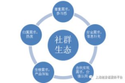 会员电视剧电影网站, 娱乐新体验与选择指南
