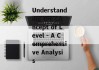 Understanding the Concept of Level - A Comprehensive Analysis