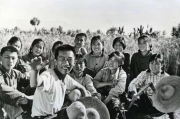 50部知青怀旧电视剧大全，唤起记忆中的青春岁月-经典作品盘点