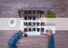 功夫小子如来神掌--功夫少年的如来神掌传奇