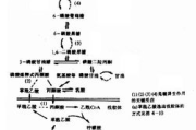 生理盐水祛痘效果解析，真相与误区揭秘