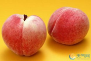 桃子营养与健康-科学搭配提升生活品质