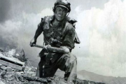 特种兵之火凤凰完整版深度解析-战术训练与团队合作