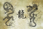 追虎擒龙：市场竞争中的制胜法宝-策略与实践解析