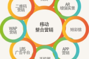 移动营销案例分析与成功策略-提升品牌影响力