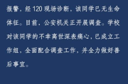 《偷偷藏不住》第2季,剧情解析与角色深度发掘-观看指南
