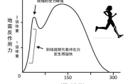 瘦身精油效果评估与使用指南-科学解析与实用建议