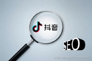 抖音SEO关键词优化，提升内容曝光率-详细策略与技巧解析
