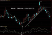 四大天王瘦身法,健康减肥新选择-全面解析与实践指南
