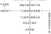 伪骨科关系解析-家庭情感纽带与心理调适