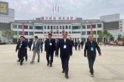 网站收录突然全部没有了-原因分析与解决方案