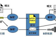加密软件代理，数据安全的守护者-选择与使用指南