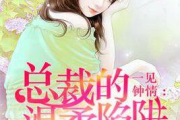 高冷总裁虐妻剧盘点，情感纠葛中的爱与痛-观众热议的10部电视剧