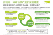 提升在线影响力，探索顶级营销网站解决方案-全面解析