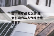 国内明星成名之路,社会影响力与人气维持策略解析