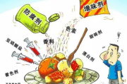 健康尝试新食物，美食探索者的智慧选择-饮食平衡解析