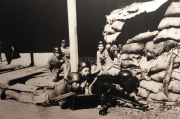 日本电影理论,历史与现代电影理论解析