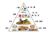 健康饮食瘦身策略-营养均衡与生活方式结合